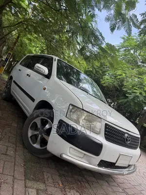 Toyota Succeed 2004 White