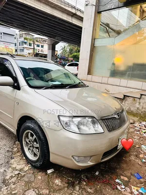 Toyota Corolla Fielder 2005 Gold