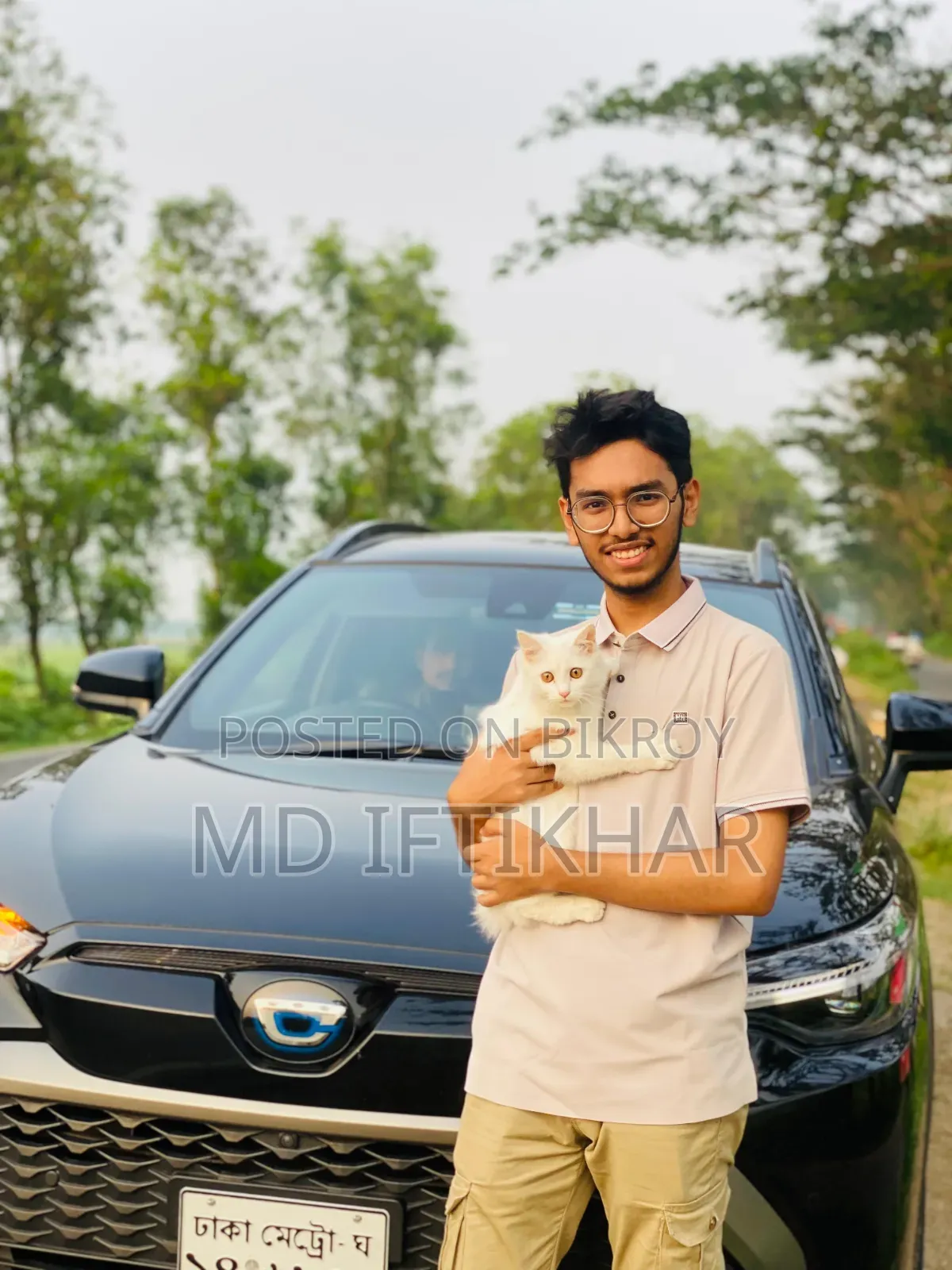 ৬-১২ মাসের ফিমেল পিওরব্রেড পারসিয়ান বিড়াল