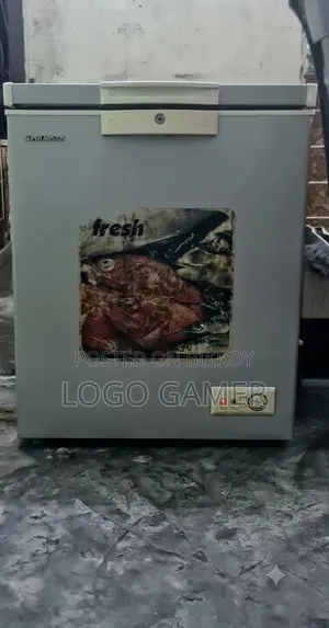 Super Ariston Fridge