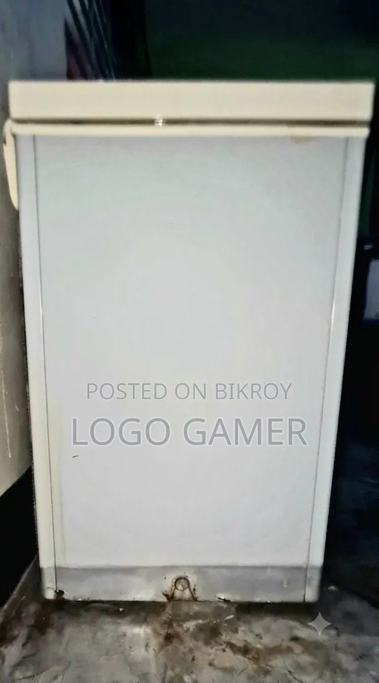 Super Ariston Fridge