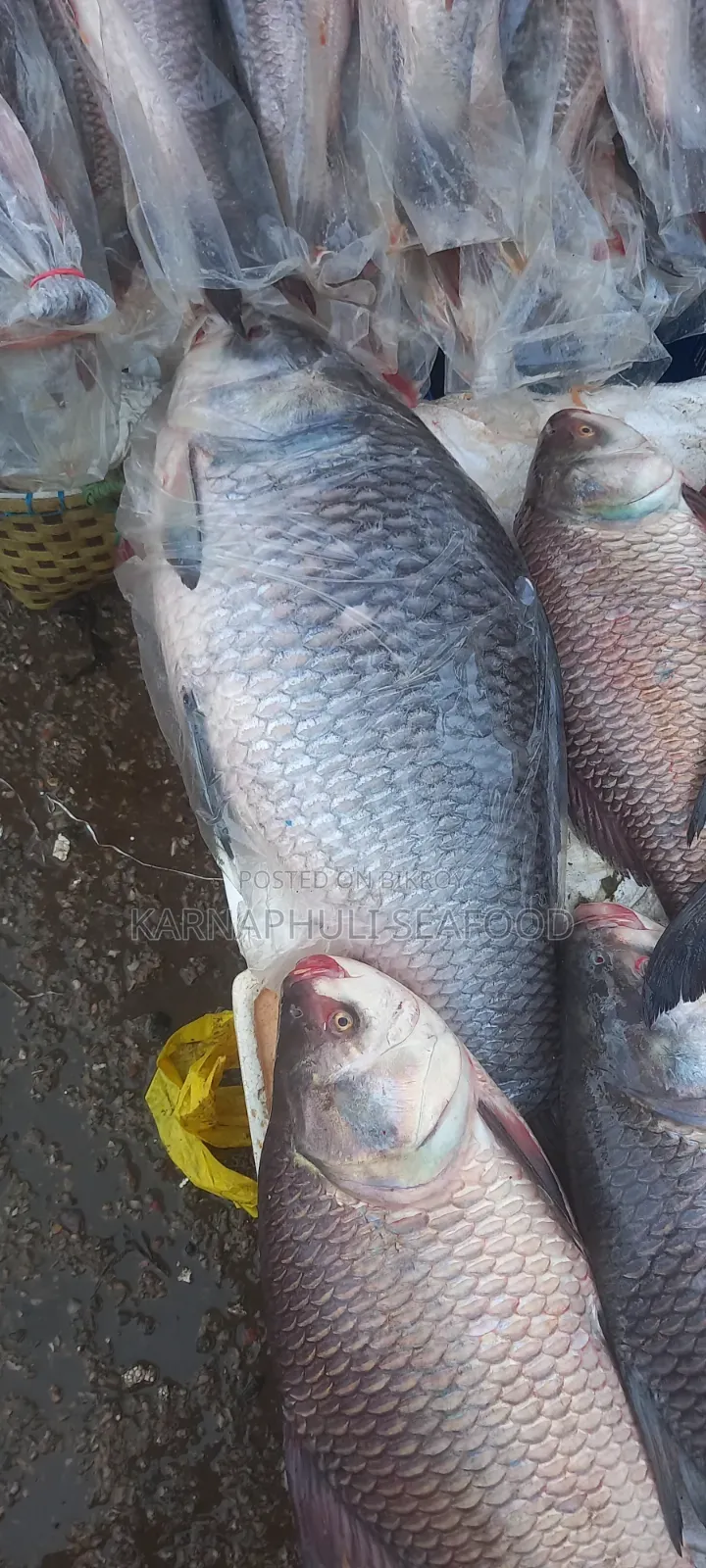 চট্টগ্রাম ফিশারিঘাটের সামুদ্রিক মাছ ও শুটকি