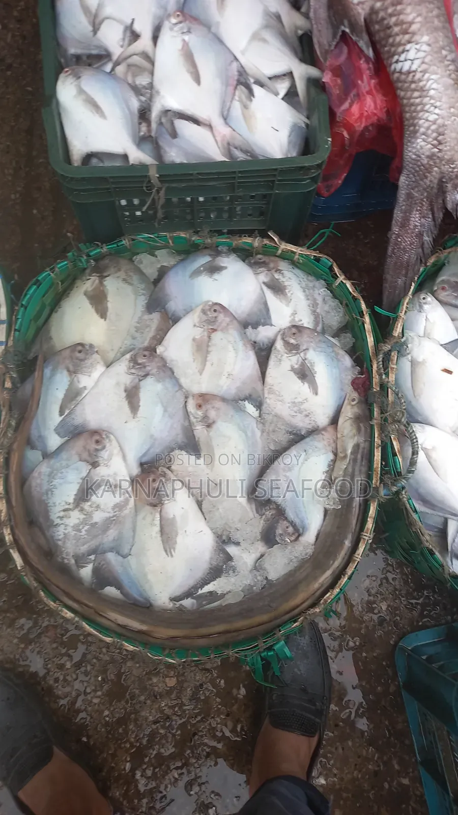 চট্টগ্রাম ফিশারিঘাটের সামুদ্রিক মাছ ও শুটকি