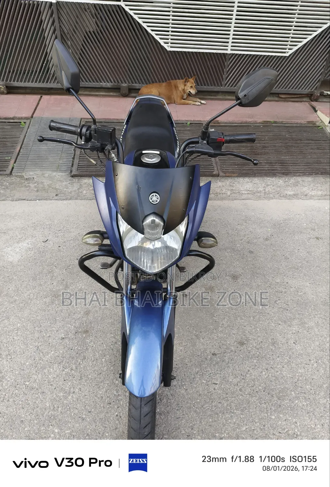 ইয়ামাহা সালুটো ১২৫ ২০২২ ধূসর