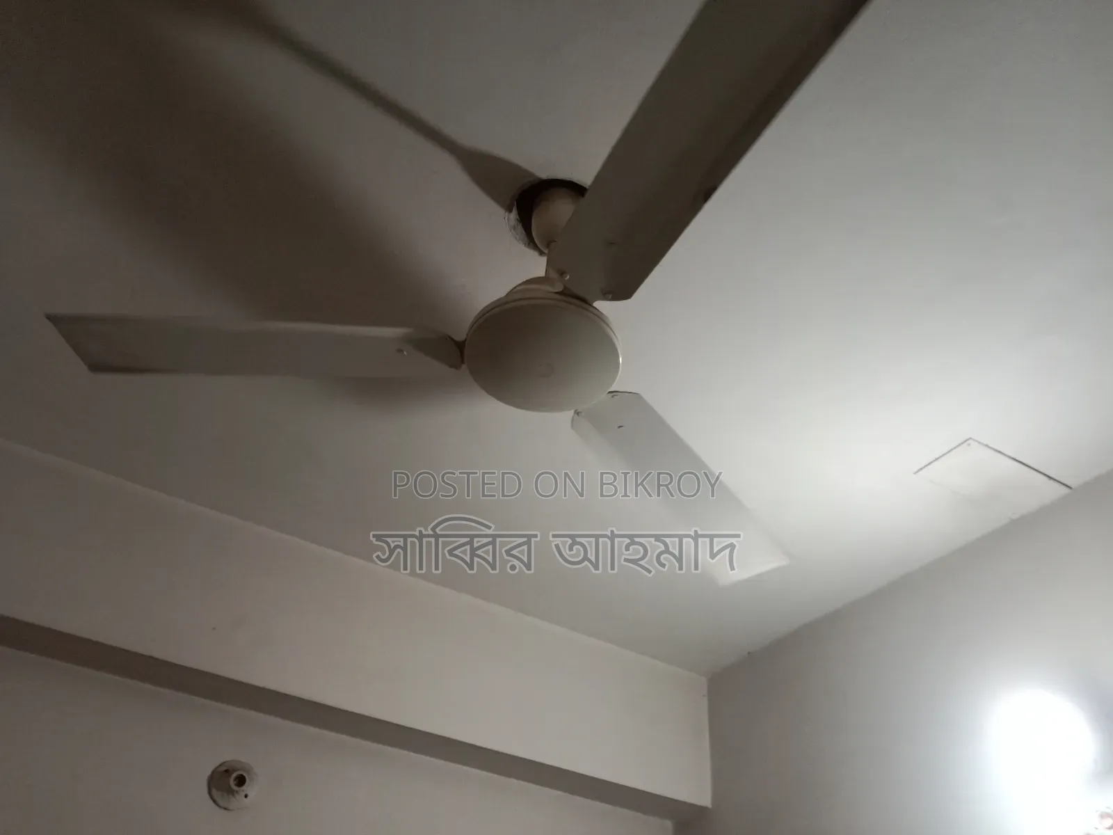 Super Star Ceiling Fan