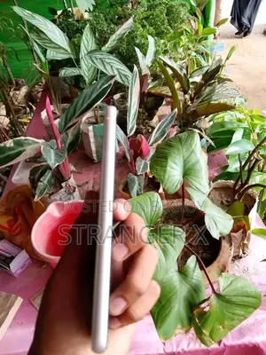 স্যামসাং গ্যালাক্সি এস২১ এফই ৫জি ২৫৬ জিবি গ্রিন
