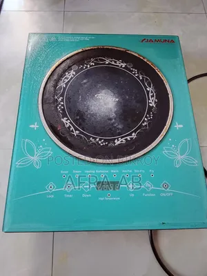 ইলেকট্রিক চুলা