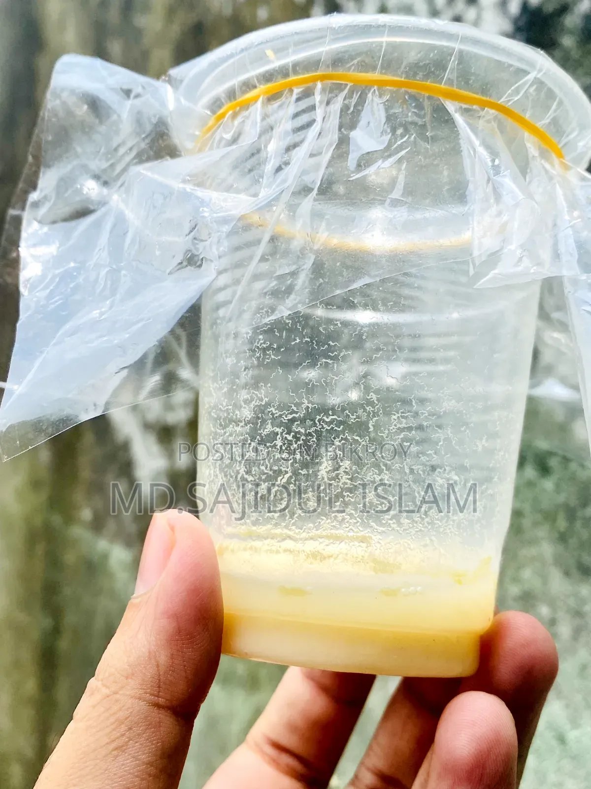 Microworm for Fish