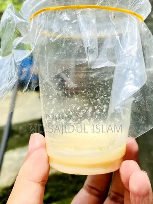 Microworm for Fish