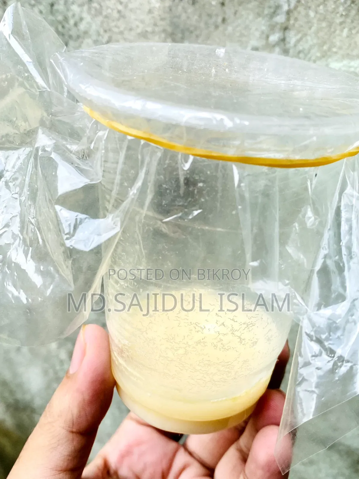 Microworm for Fish