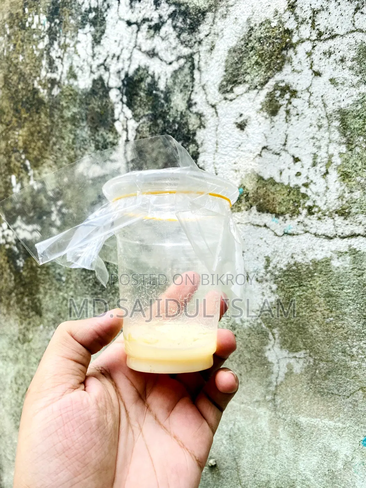 Microworm for Fish