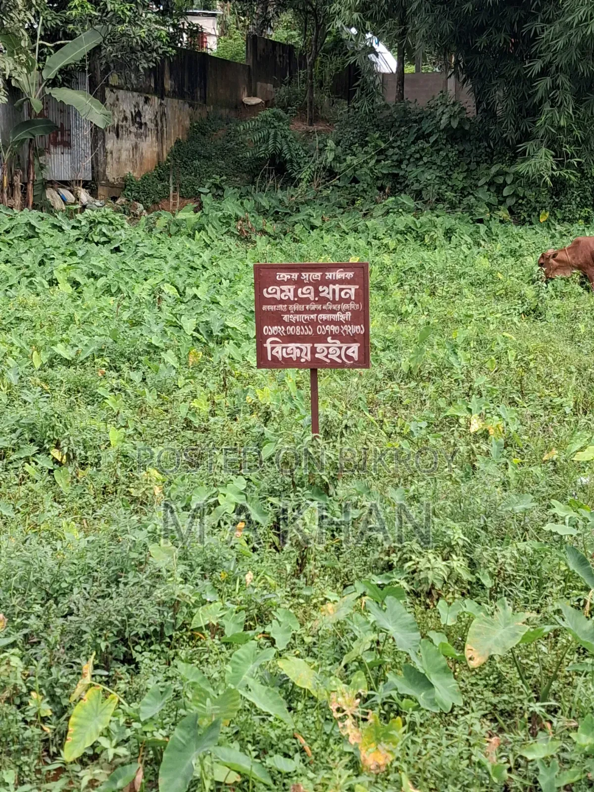 বাড়ি করার উপযুক্ত জায়গাটি বিক্রিয় হবে।