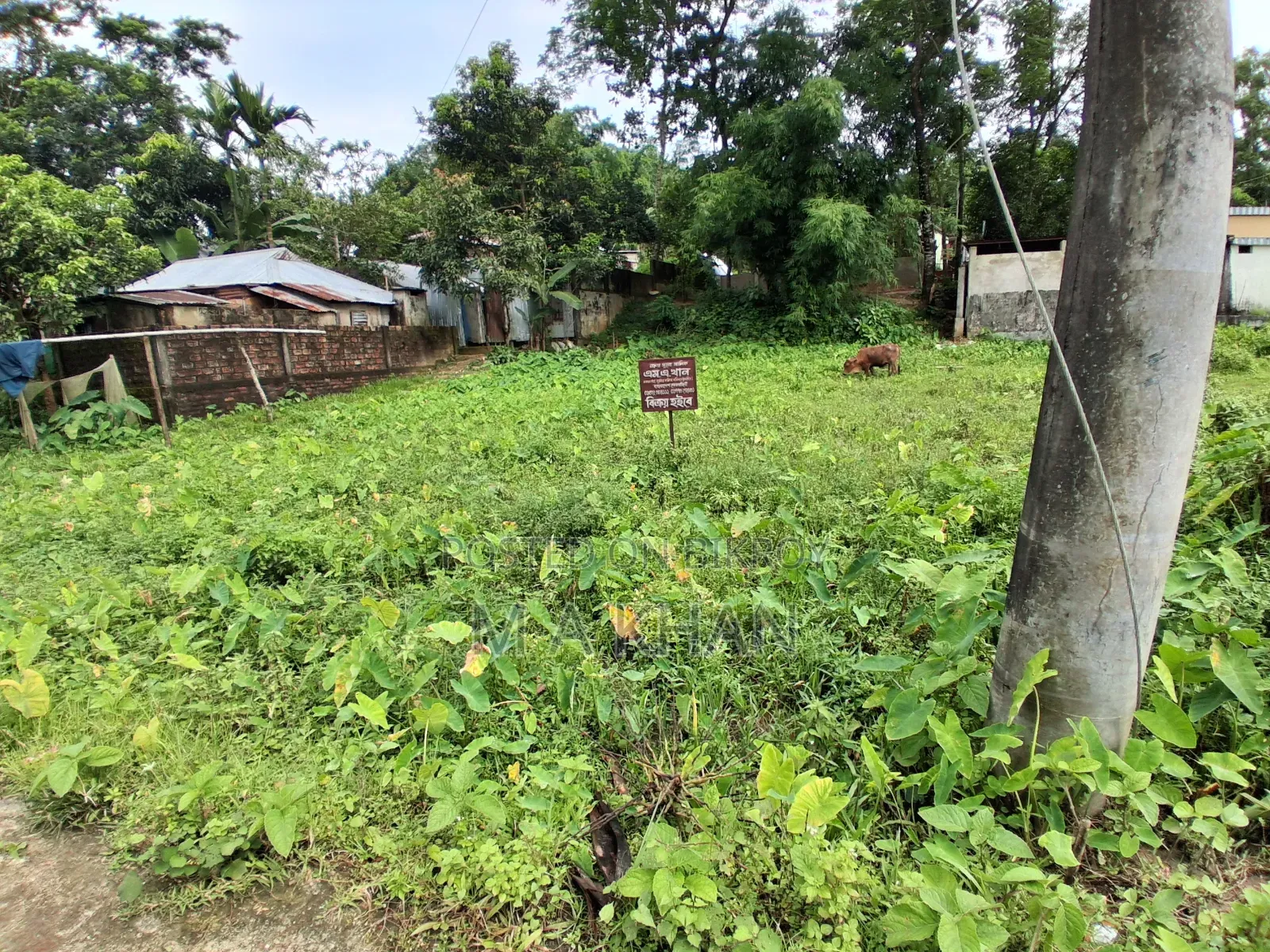 বাড়ি করার উপযুক্ত জায়গাটি বিক্রিয় হবে।