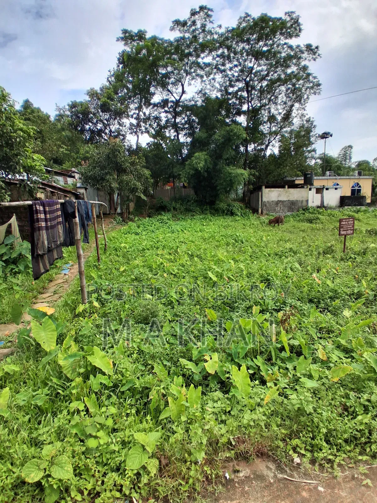 বাড়ি করার উপযুক্ত জায়গাটি বিক্রিয় হবে।