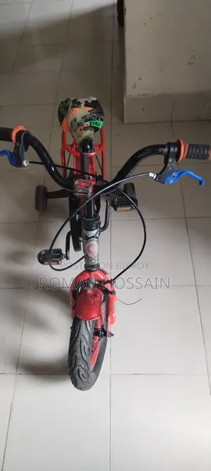 Phoenix Bicycle