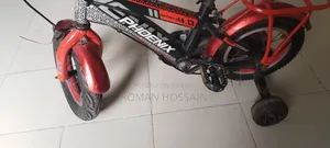 Phoenix Bicycle