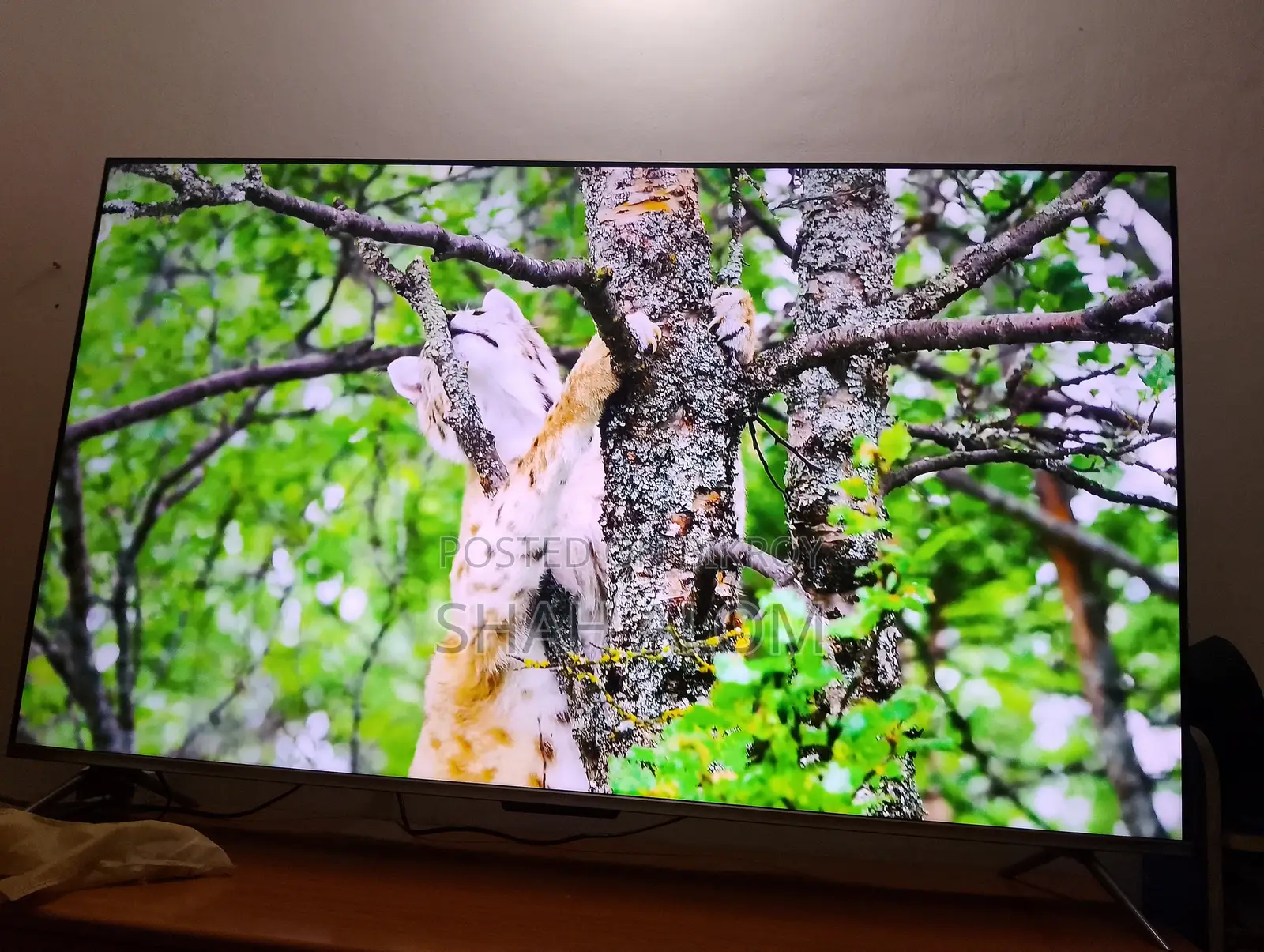 Haier 65p7 Pro 65" 4k Hqled Smart Google TV