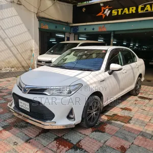 Toyota Axio 2019 White