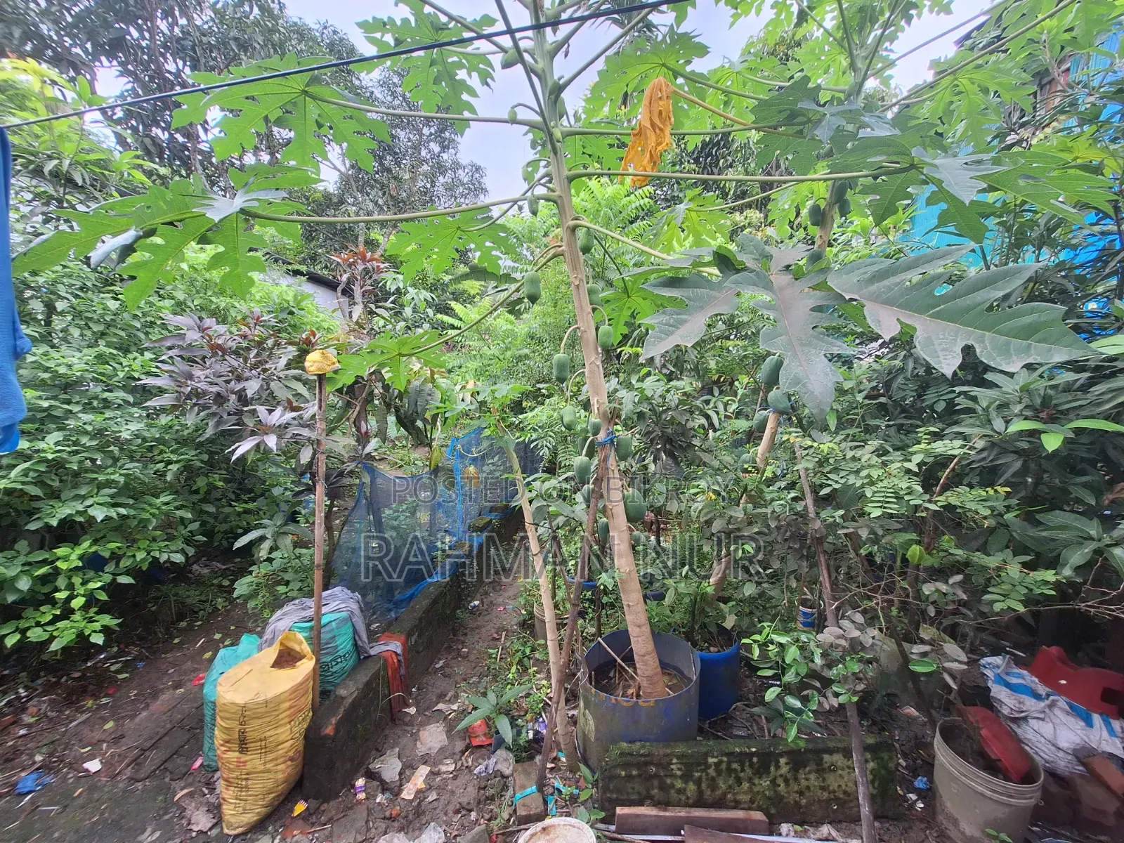 Land Sale