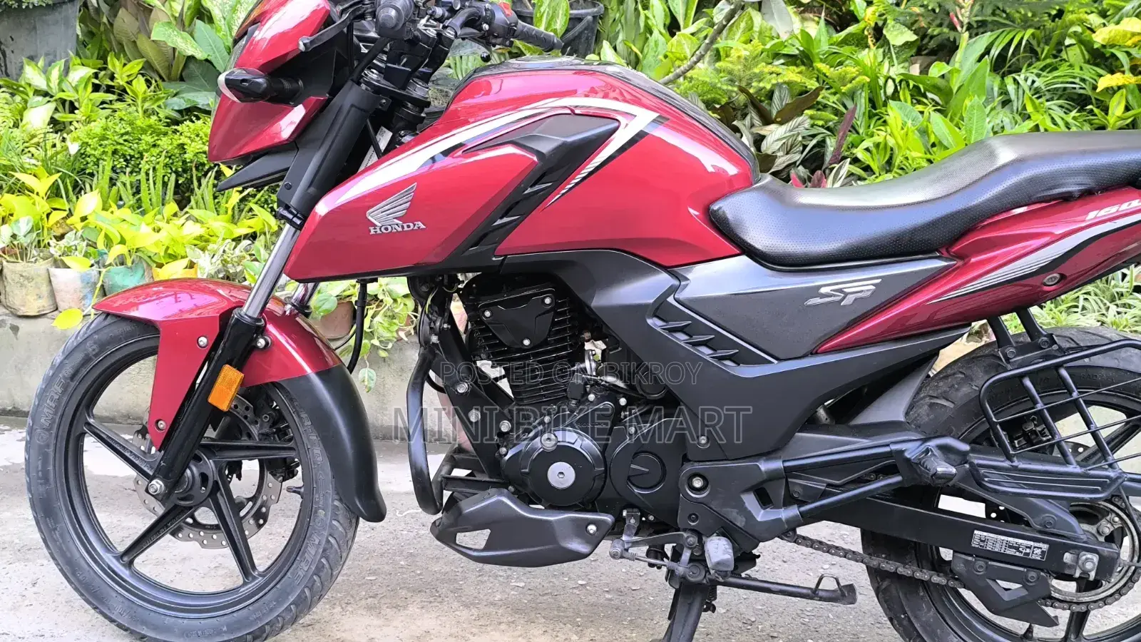 Honda 2024 Red