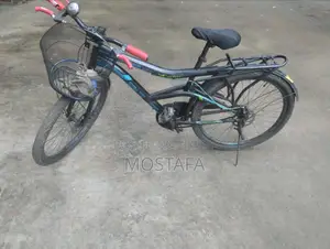 Bicycle will be sold