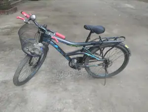 Bicycle will be sold