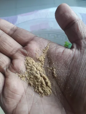 20 Grams | High Quality Powdered Food for Newborn Baby Fish