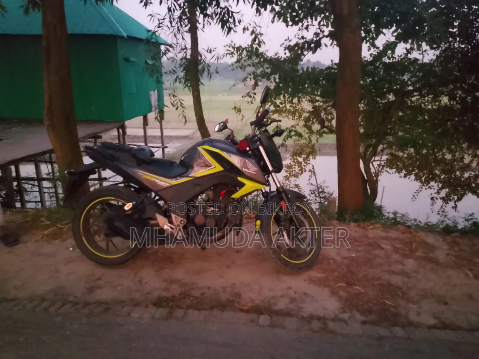 হোন্ডা হরনেট ২০১৯ সবুজ
