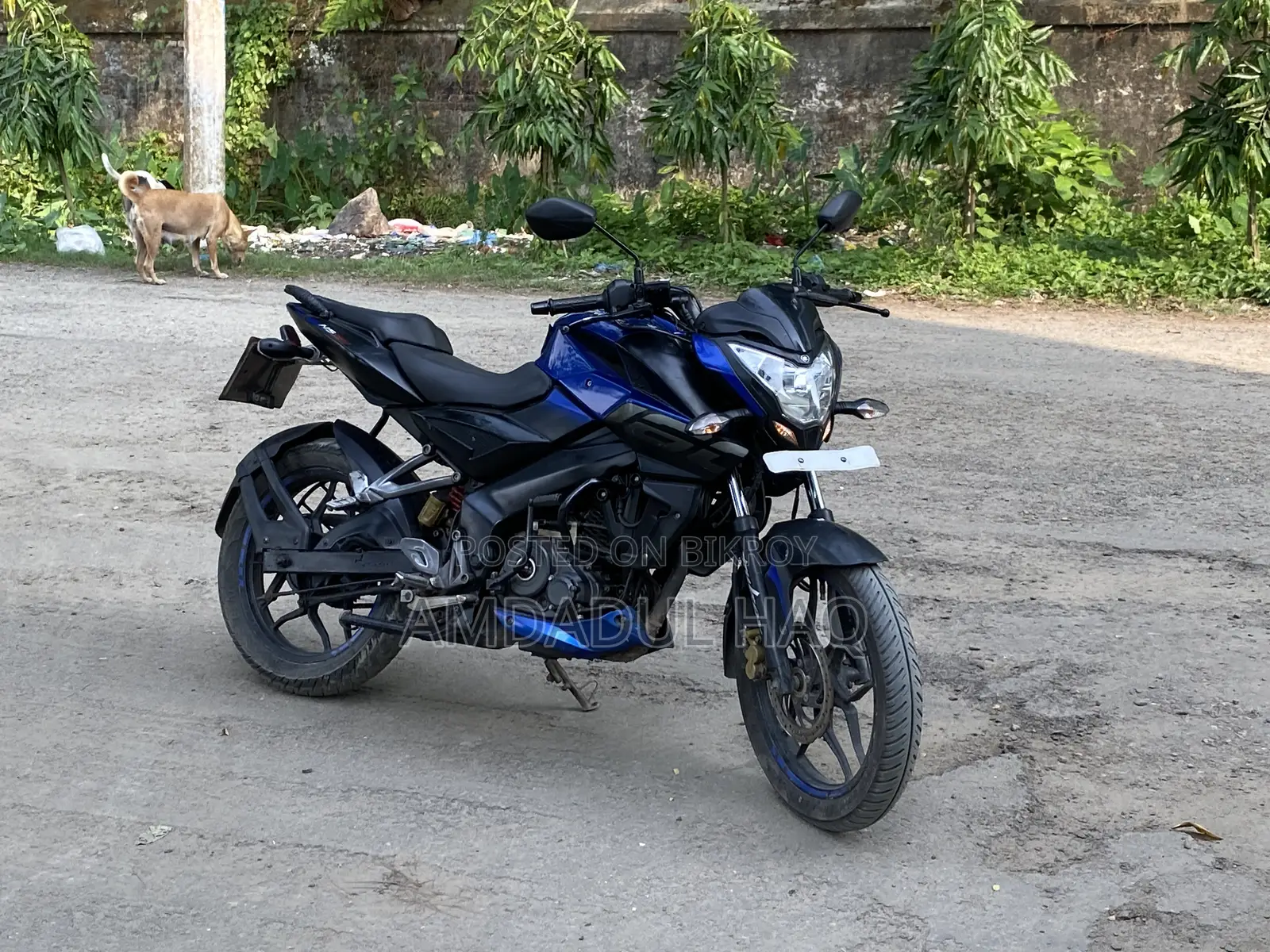 বাজাজ পালসার এনএস ১৬০ ২০১৮ ব্লু