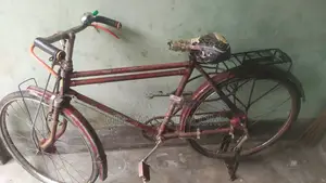 মোঃ শামসুল আলম