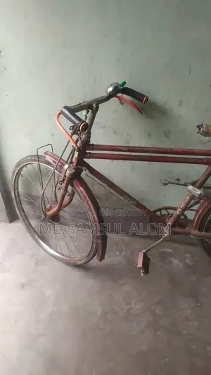 মোঃ শামসুল আলম