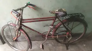 মোঃ শামসুল আলম