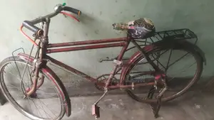 মোঃ শামসুল আলম