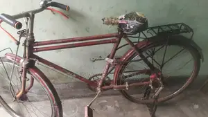 মোঃ শামসুল আলম