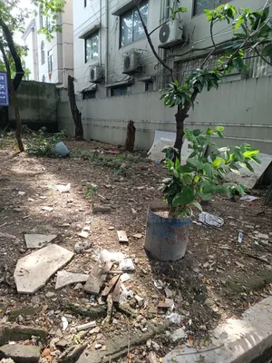 Land Sale in Nikunjo