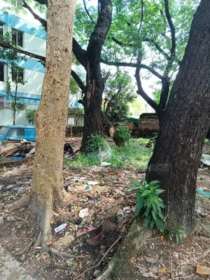 Land Sale in Nikunjo