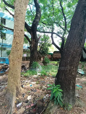 Land Sale in Nikunjo