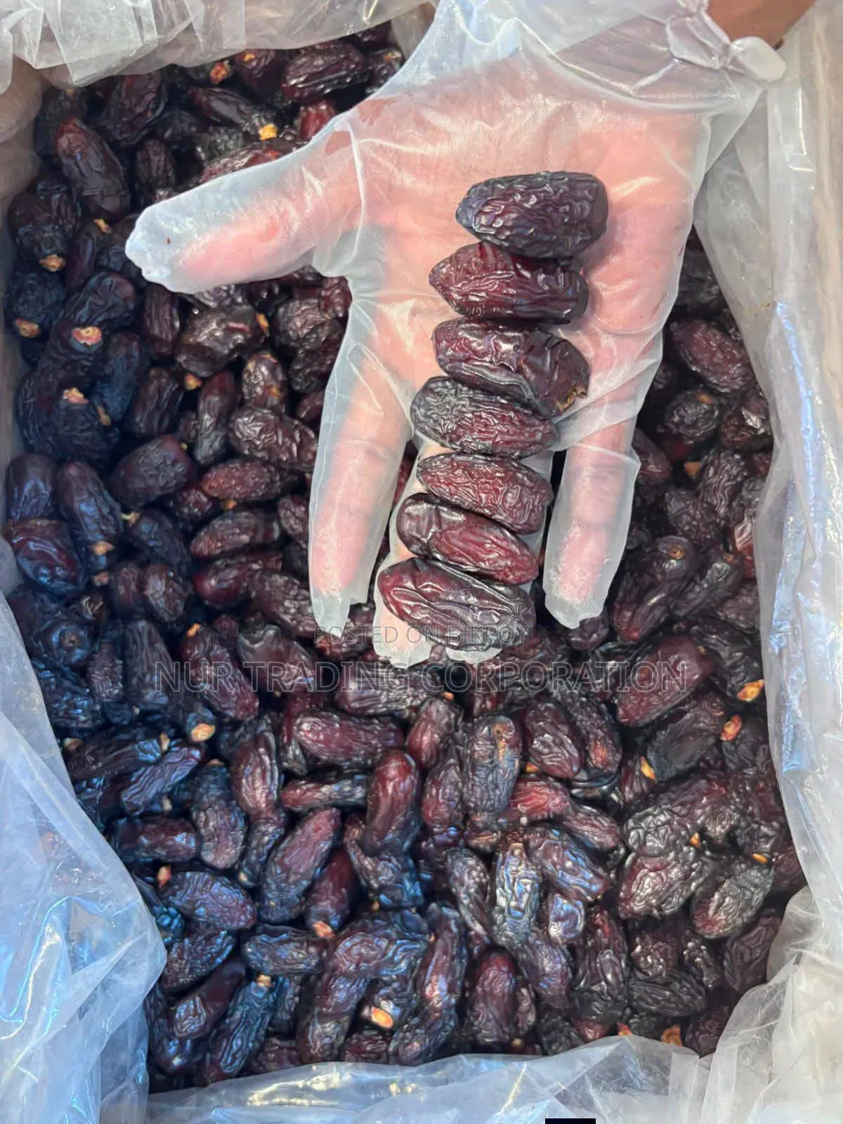 Kalmi Mariam Dates