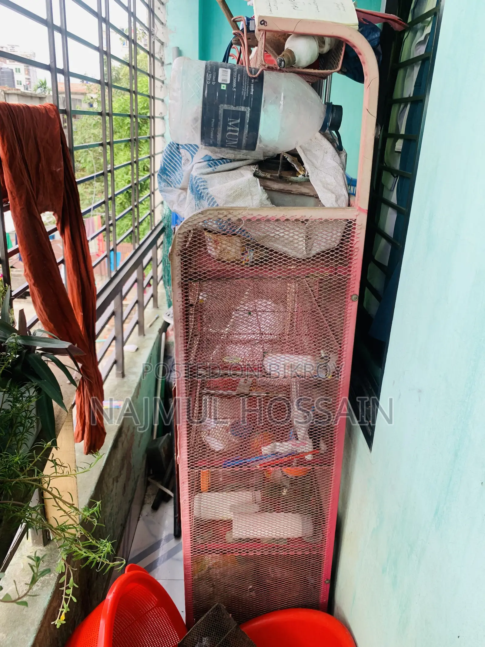 বেড বেডমেটস