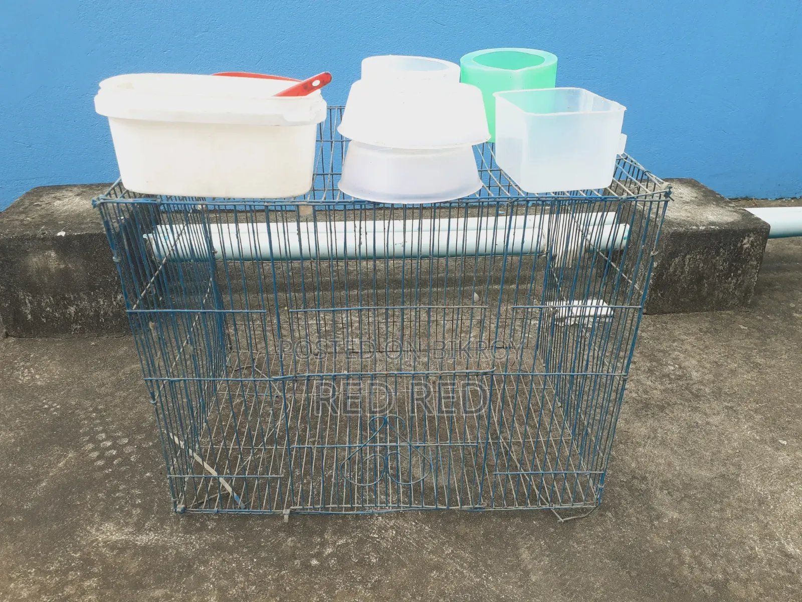Full set of cage and bird/chicken food and water bowls for sale