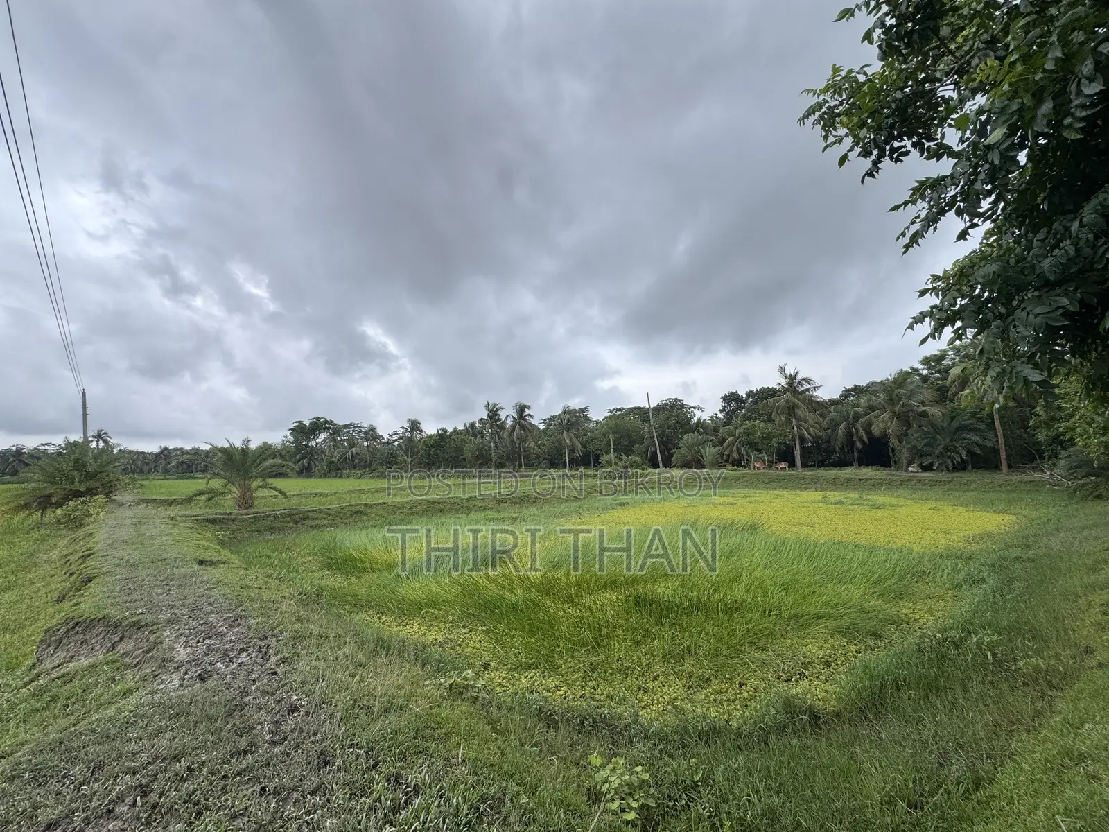 Agro Farm for Sale