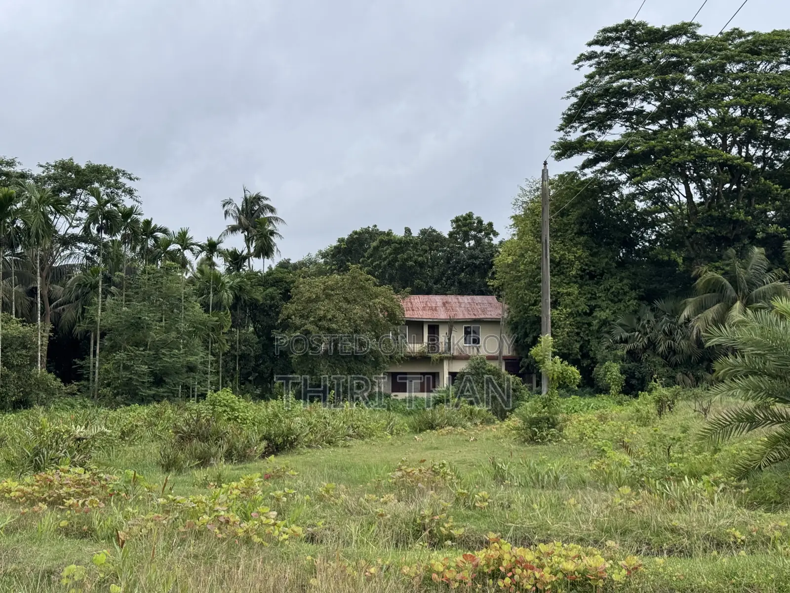 Agro Farm for Sale
