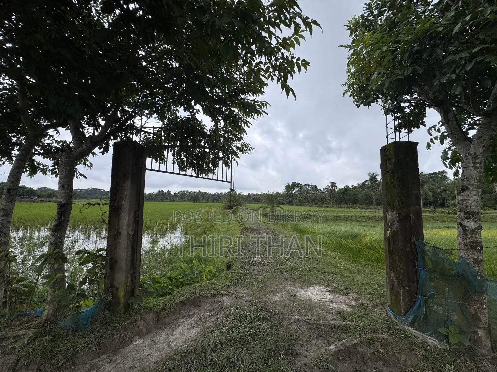Agro Farm for Sale