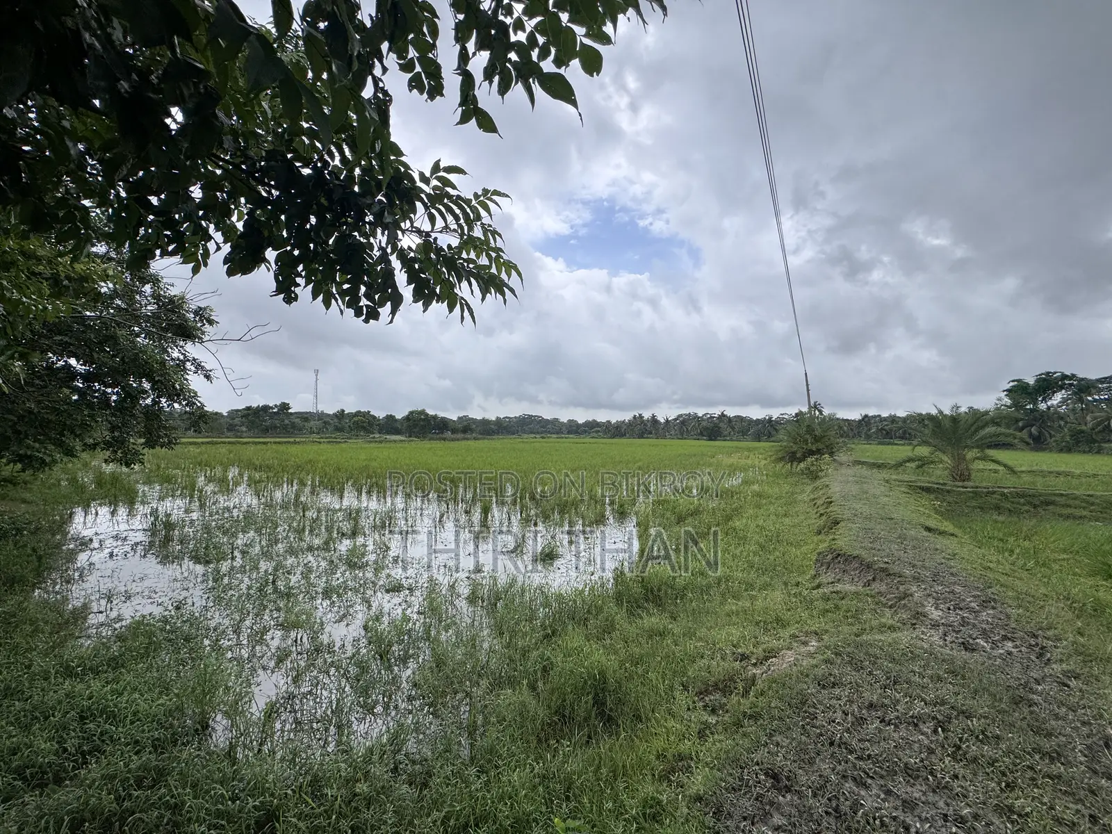 Agro Farm for Sale