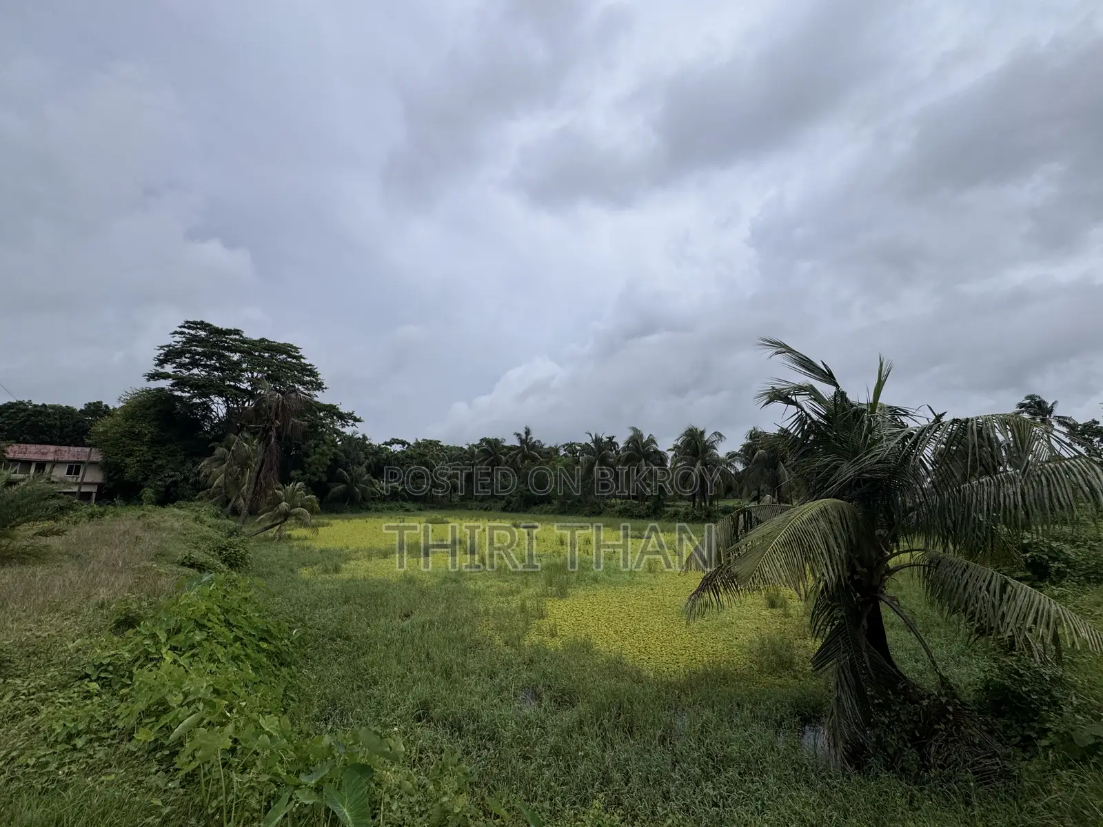 Agro Farm for Sale
