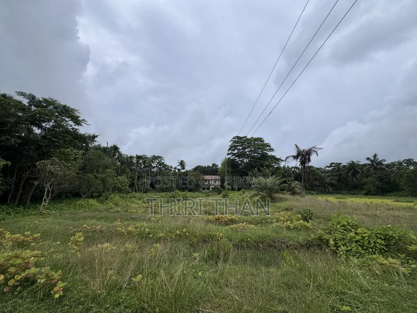 Agro Farm for Sale