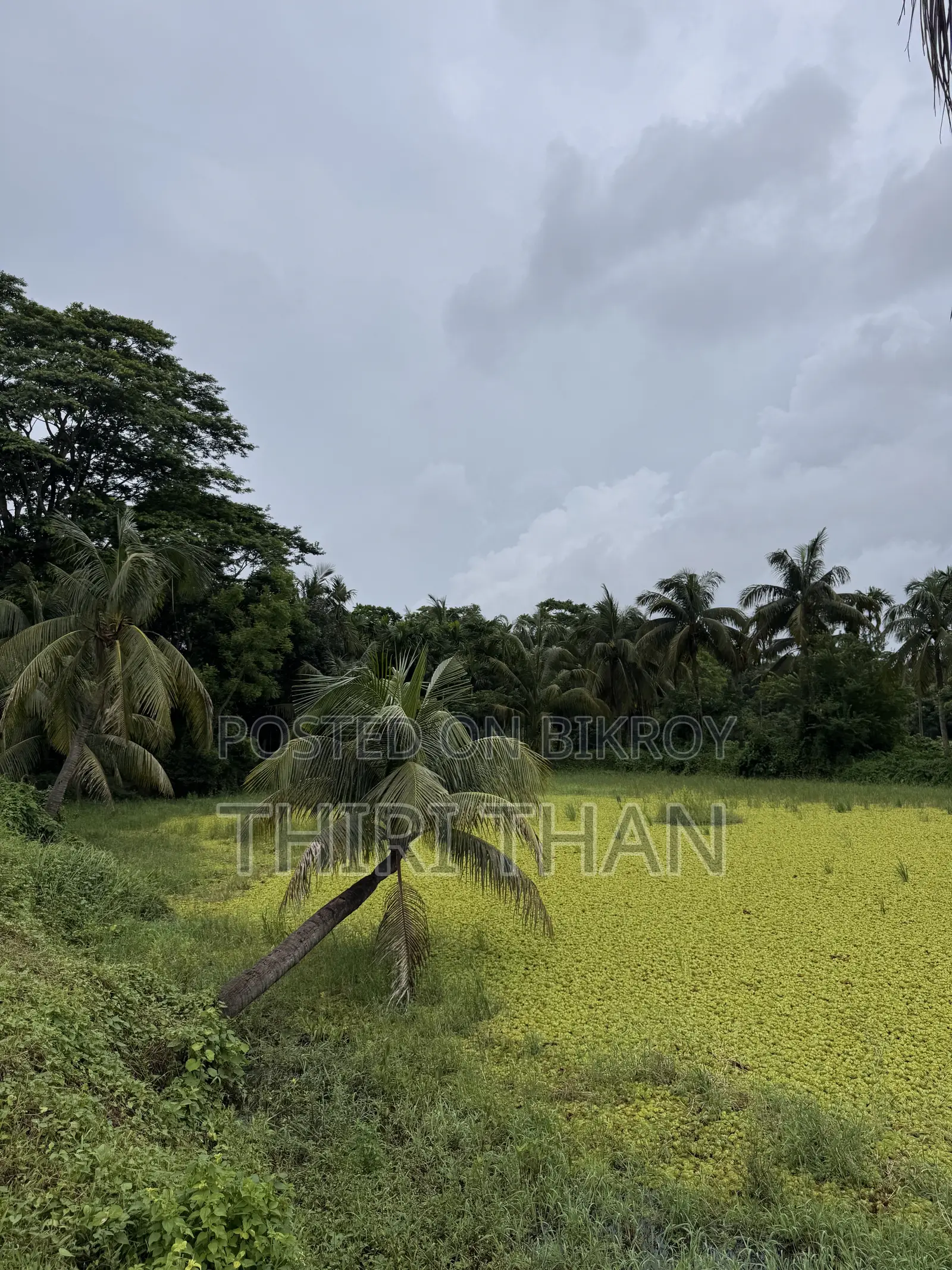 Agro Farm for Sale
