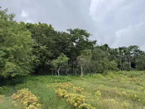 Agro Farm for Sale