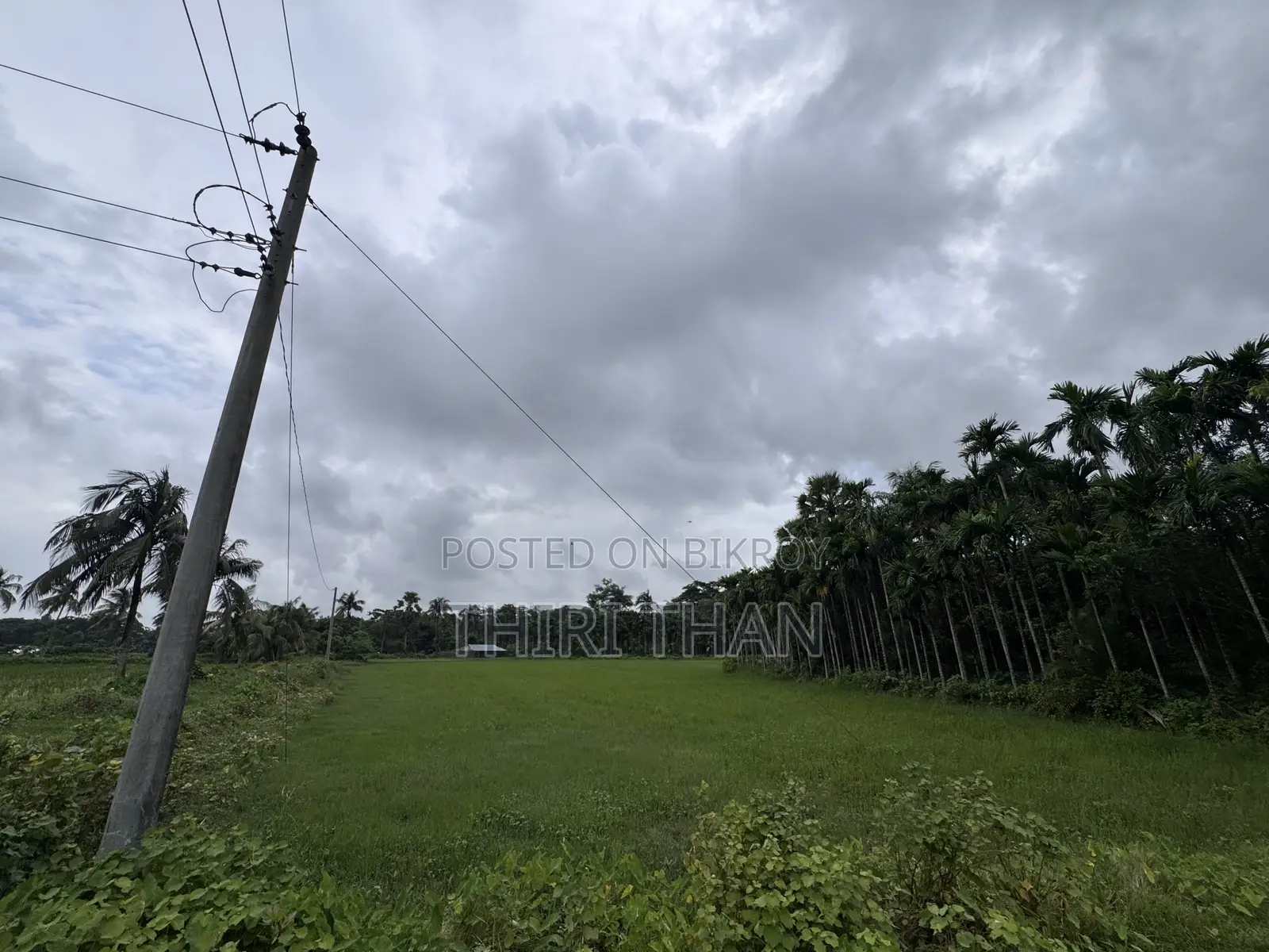Agro Farm for Sale