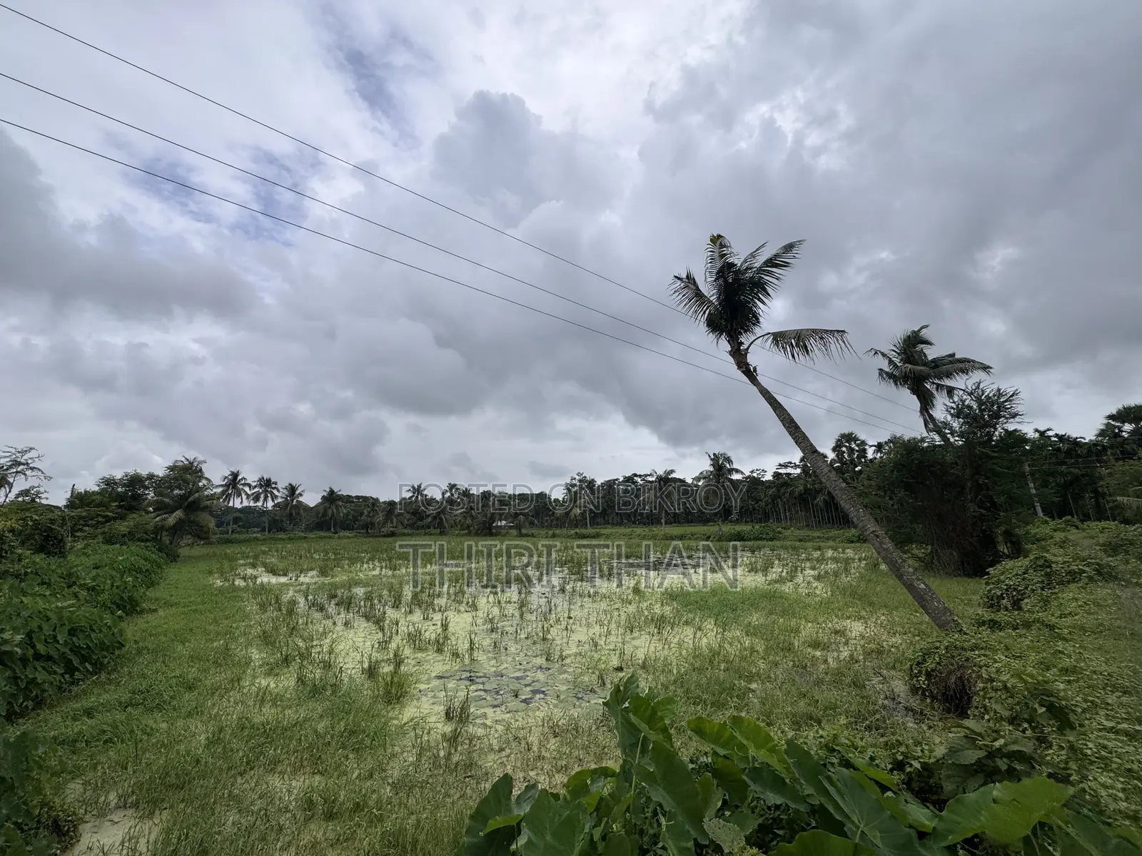 Agro Farm for Sale